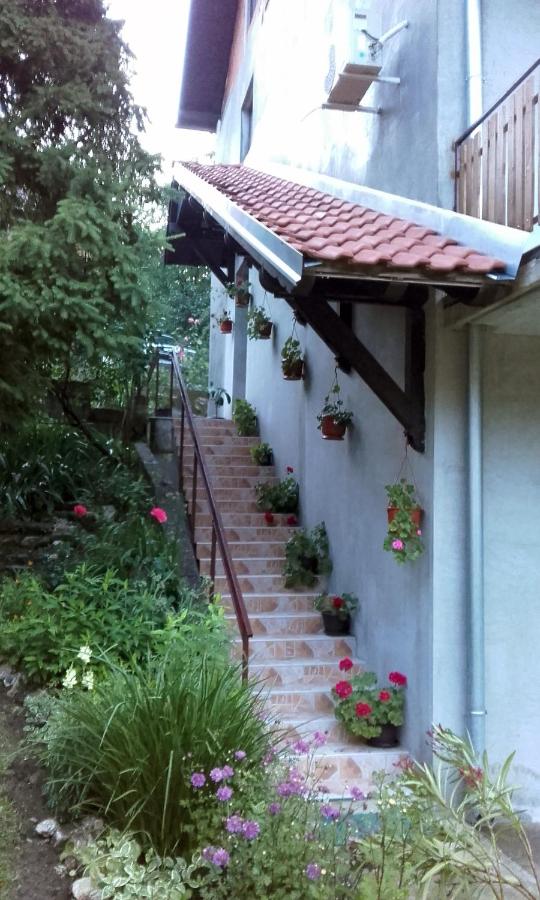 Apartmani "Vila Jelena" Arandjelovac - Ferienwohnung Aranđelovac