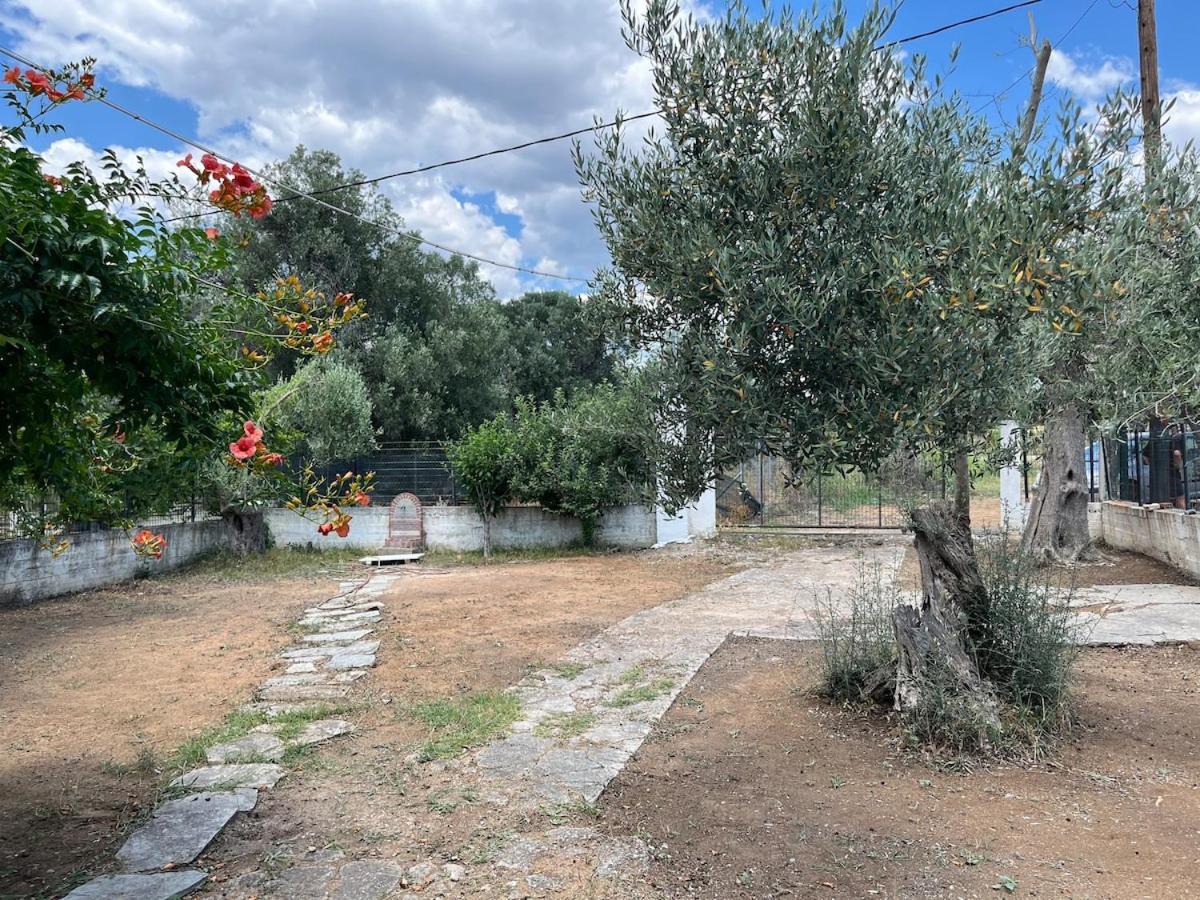 Wooden Loft 3min Walk to Beach - Chambres d’hôtes Alexandroupoli