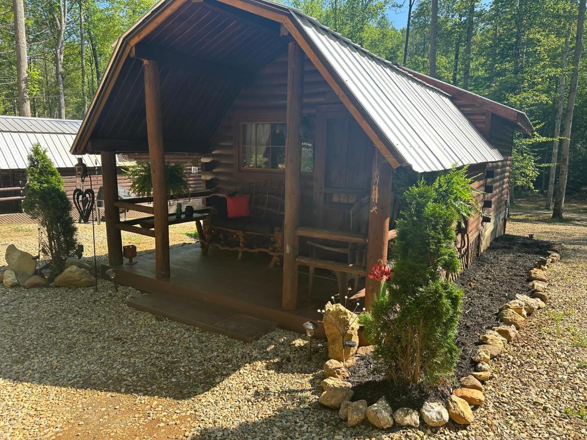 Big Bear Log cabin - B&B Cosby