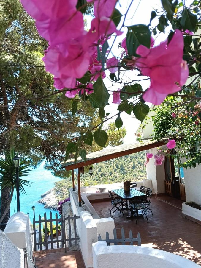 NSM Villa Carlotta E Villa Guarda che Mare con vista panoramica - B&B Pugnochiuso