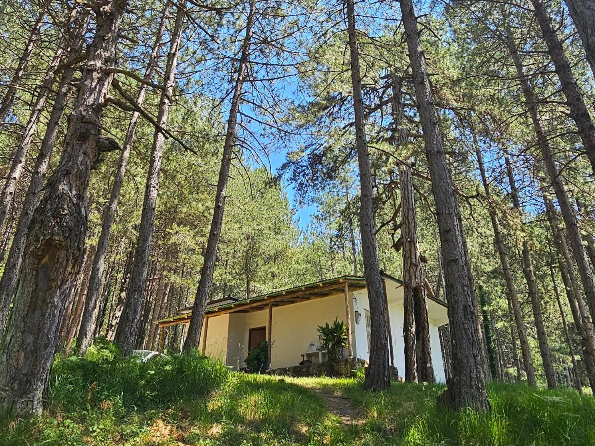 Bujtinat Skenderi Gjinar 2 - B&B
