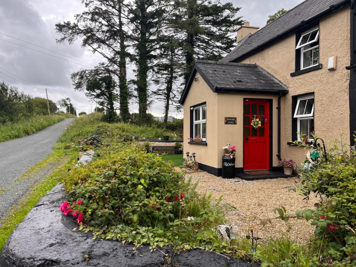 Daffodil Lodge - B&B
