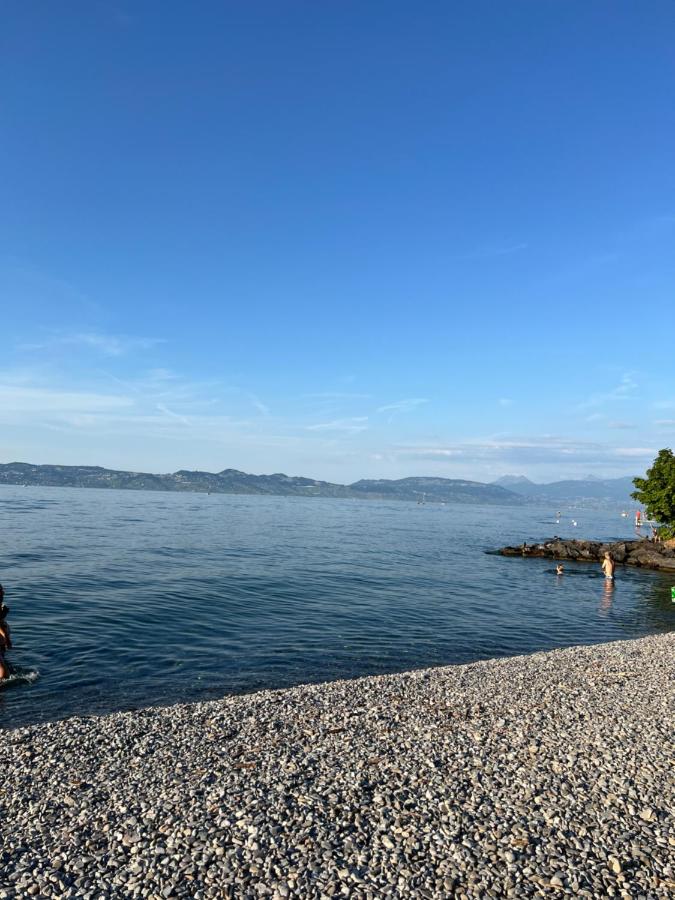 T3 situé à 30m de la plage de Grande Rive - Ferienwohnung Évian-les-Bains