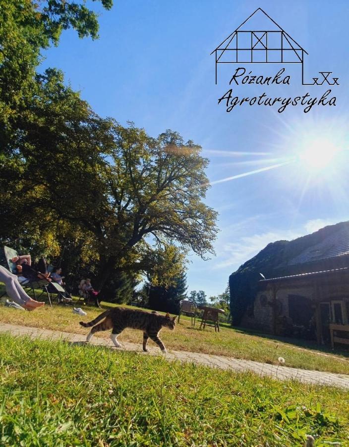 Agroturystyka Różanka - B&B