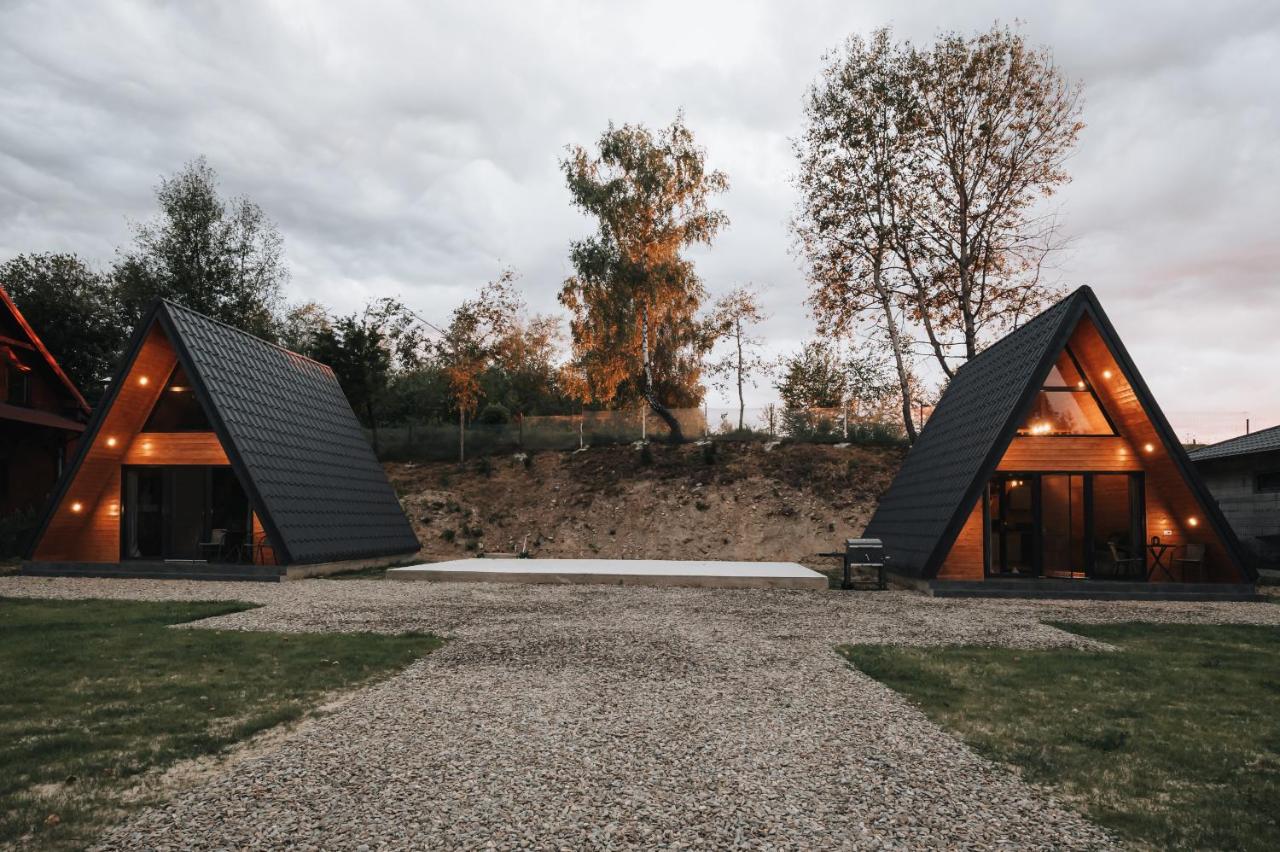The DREAM A-frame Cabin - Chambres d’hôtes Arpașu de Sus