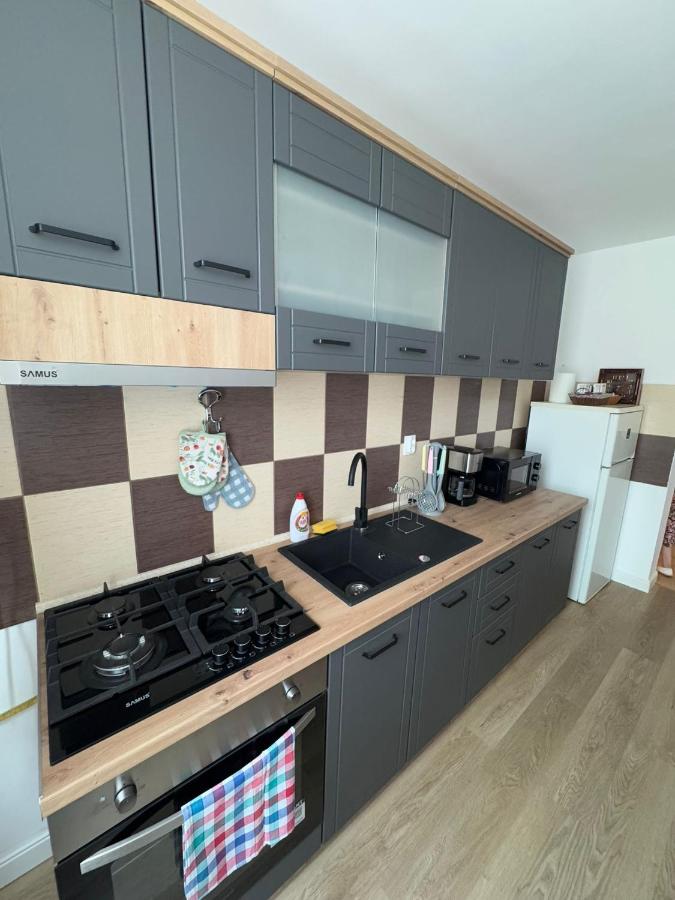 The Urban Hero Appartment - B&B Floreşti