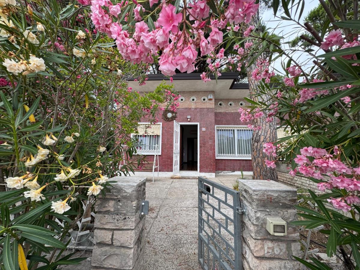 Intera casa, 100 m dal mare, grande giardino - B&B