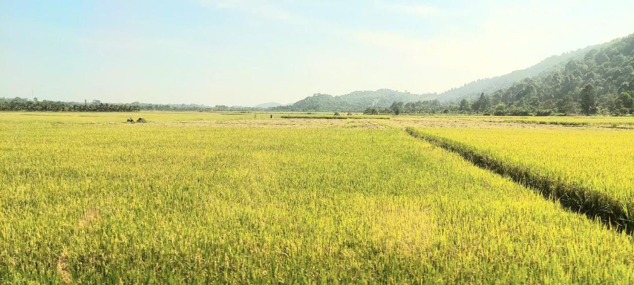 Thuy Tien Ecolodge - B&B