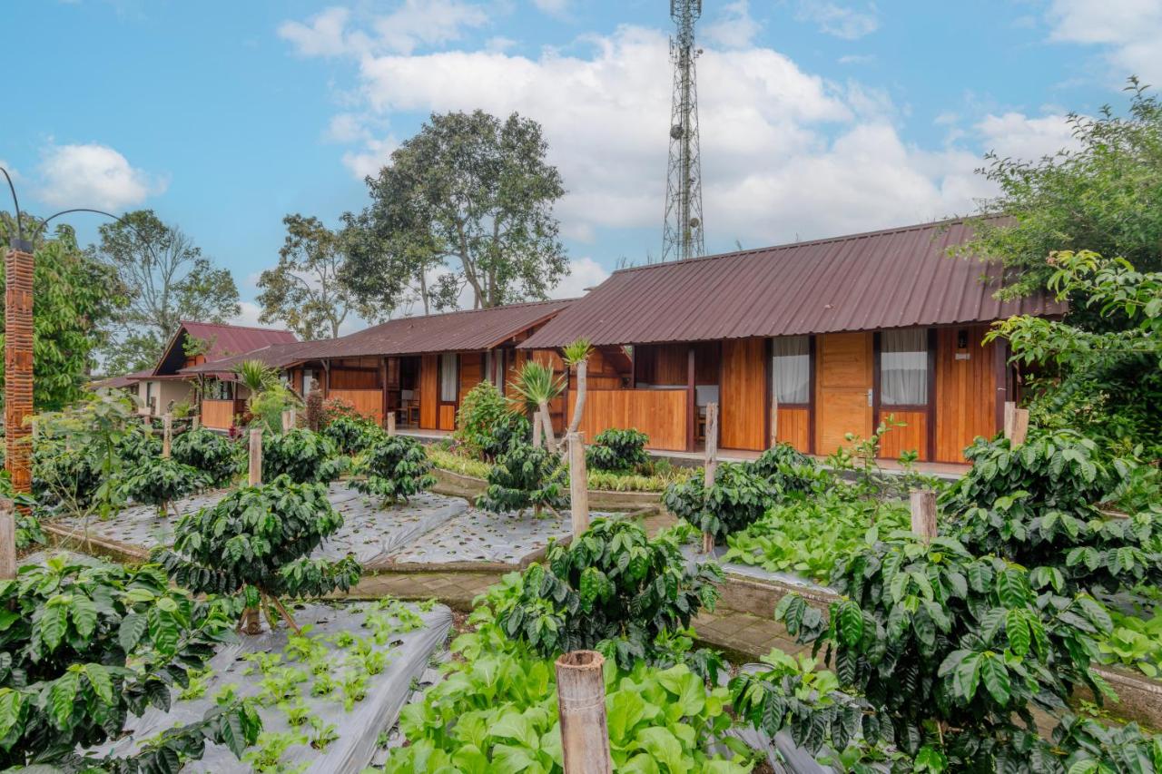 Kampung Bingo Glamping & Resto by Great Bali Villas - B&B Banjar Bedugul