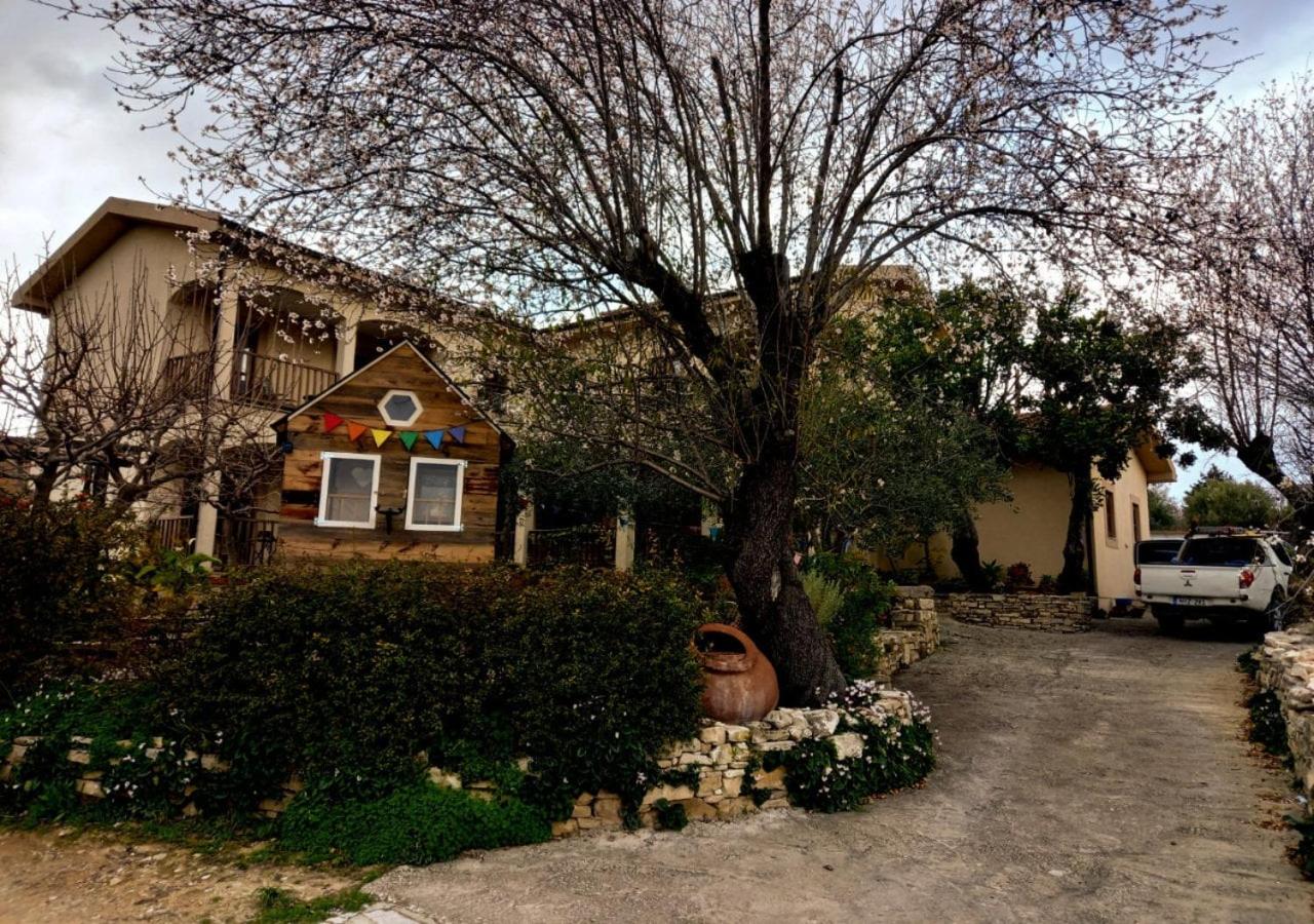 Olive Tree House - Chambres d’hôtes Anógyra