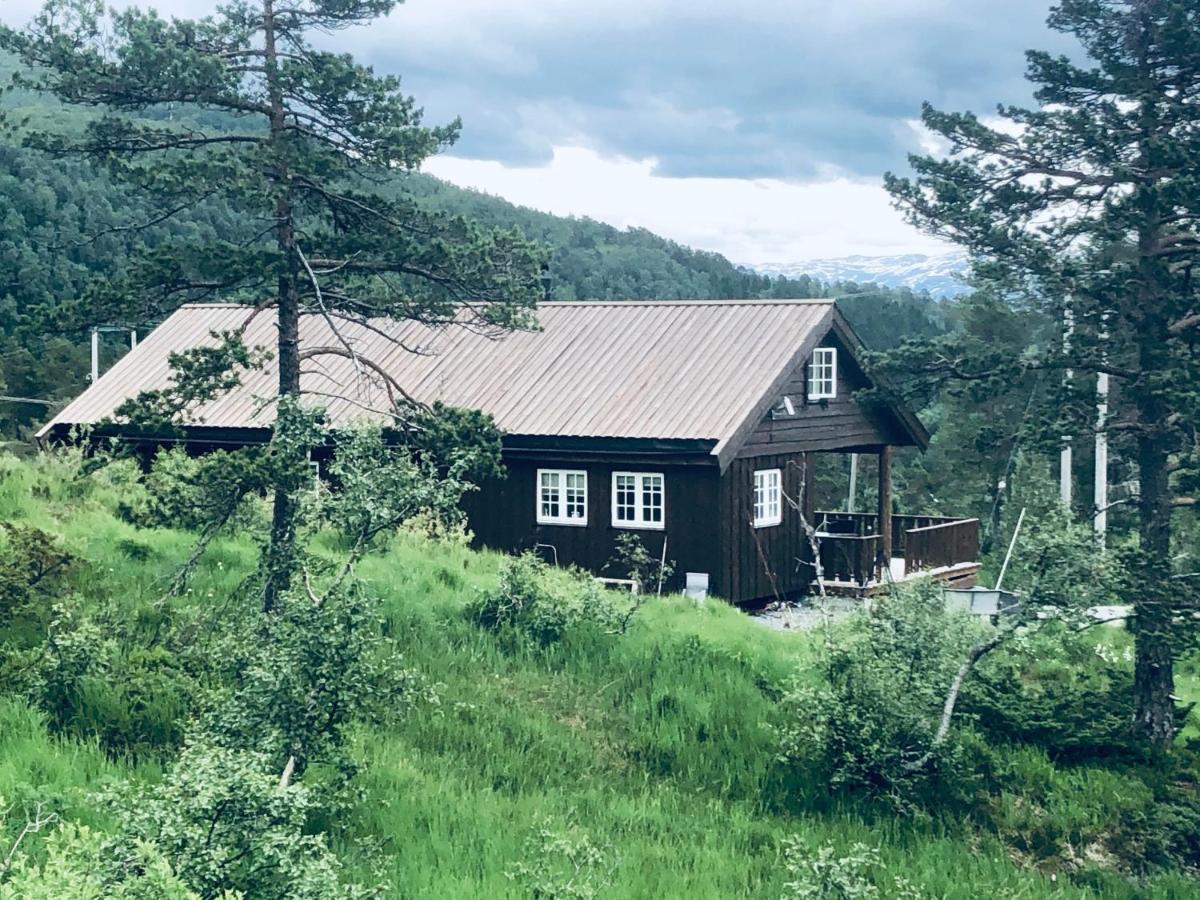 Familiehytte på Kvamskogen - B&B