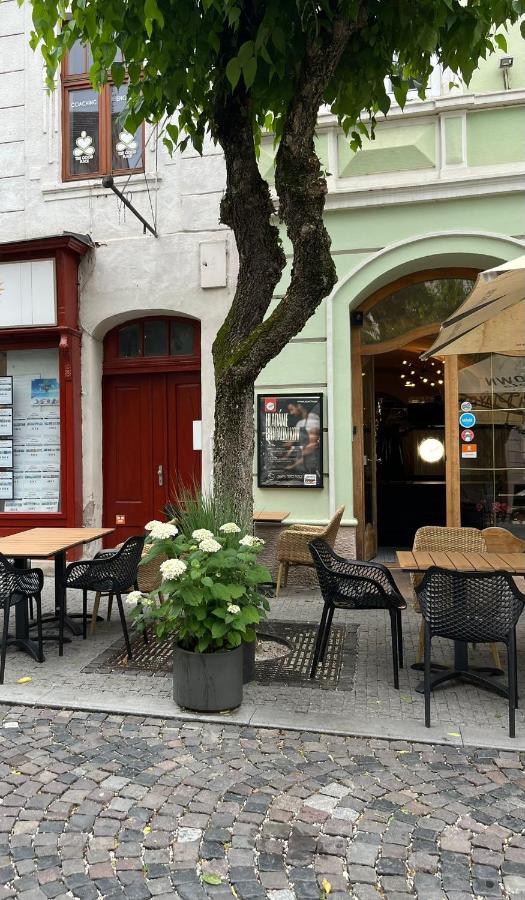 Apartmán POD HRADOM - B&B Trenčín