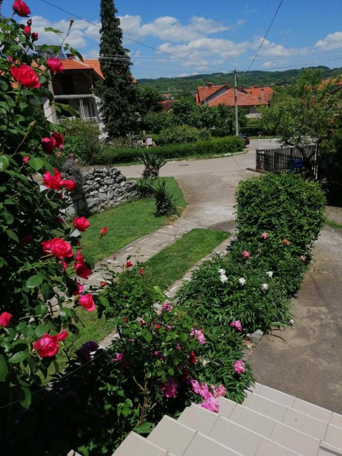Apartmani Sokobanja Alexandar - B&B