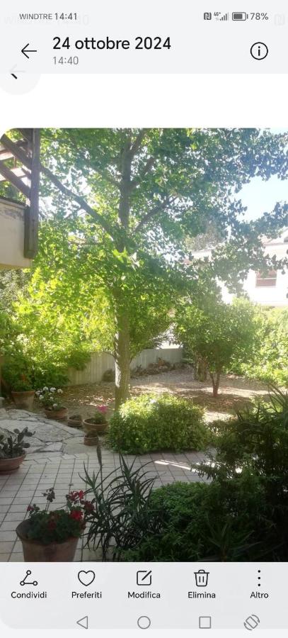 La niviera - B&B Scerni
