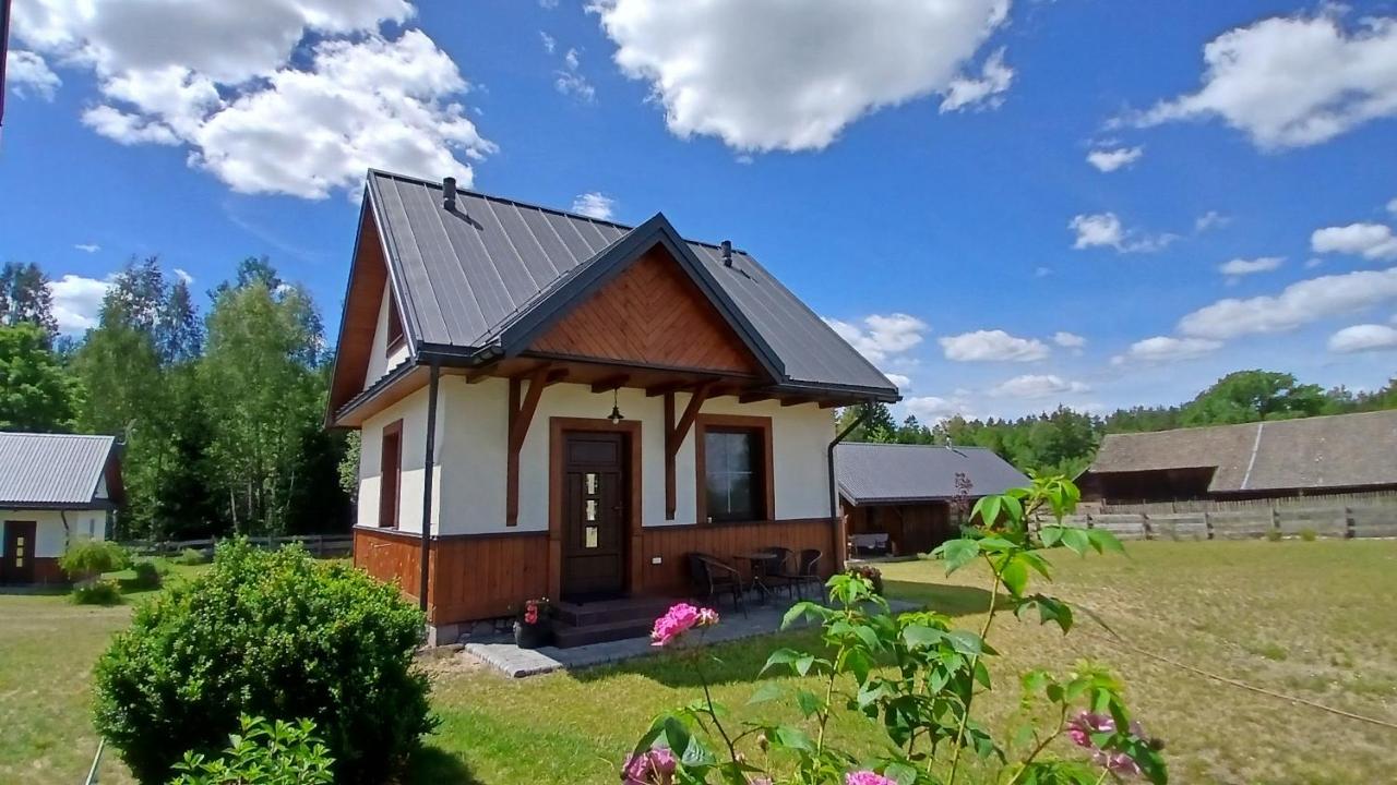 Siedlisko Czarny Dzięcioł - B&B