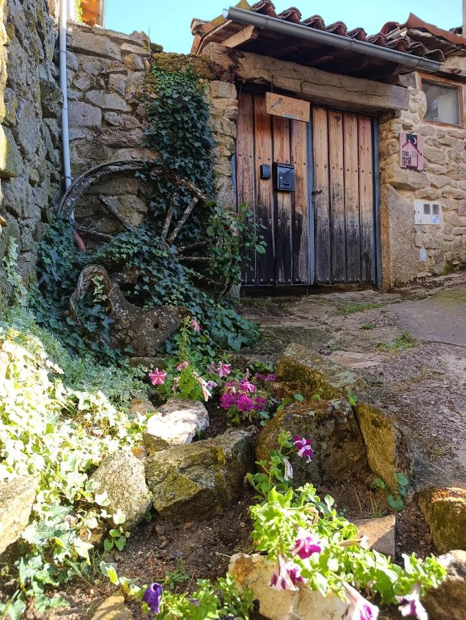 El Colirrojo - Los Sitios de Aravalle - Ferienwohnung Casas del Abad