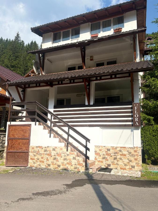 Pensiunea Flora - PISCUL NEGRU - B&B Cumpăna