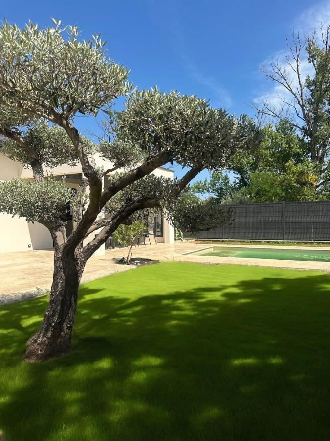 Villa avec piscine - L'Oliviera - Ferienwohnung Charmes-sur-Rhône