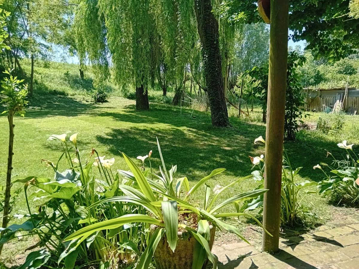 Molina house - B&B Cavarzere