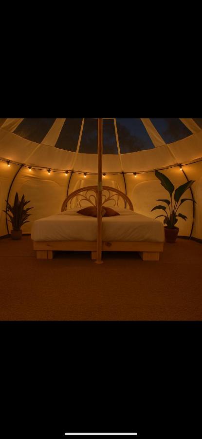 Glampingtelt telt i naturens hjerte - B&B Bryrup
