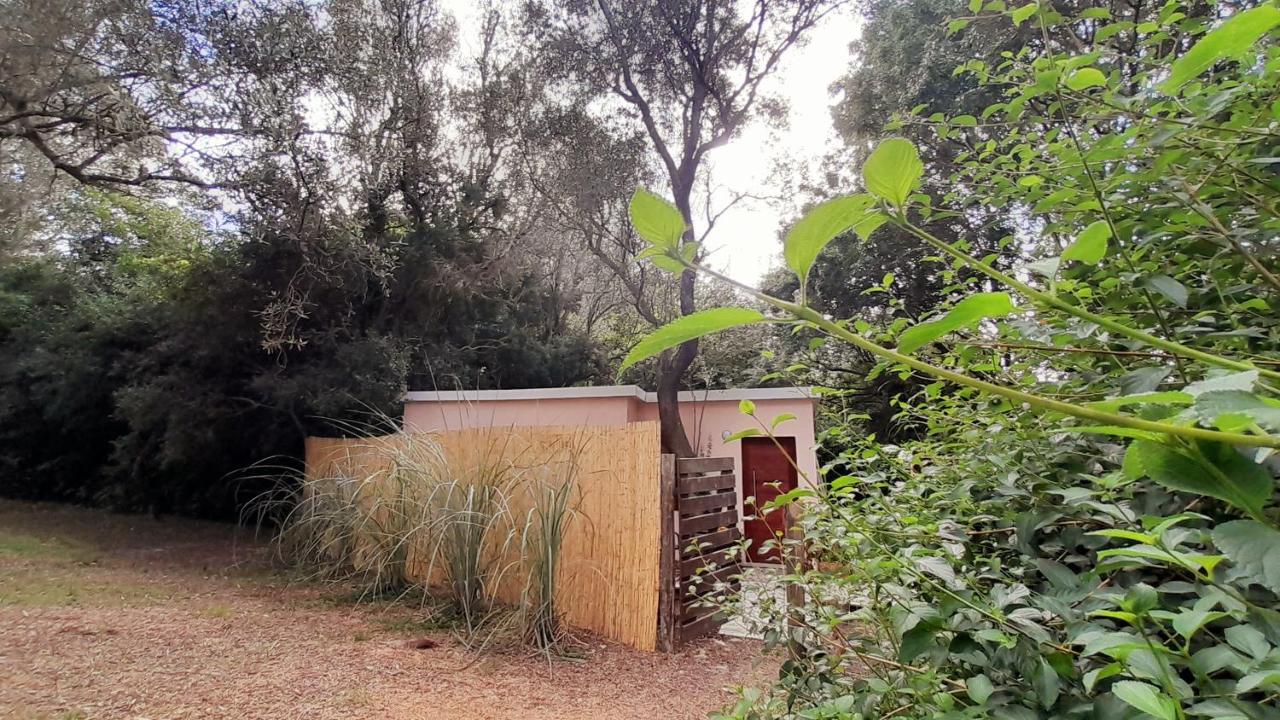 Casa del Bosque - Ferienwohnung Punta del Este