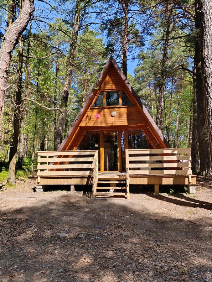 Domek w Ptasim Gaju - B&B