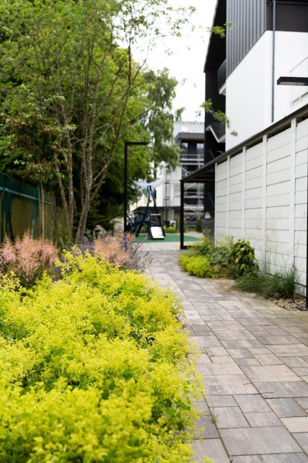 Apartament Szumiący Las - B&B Grzybowo