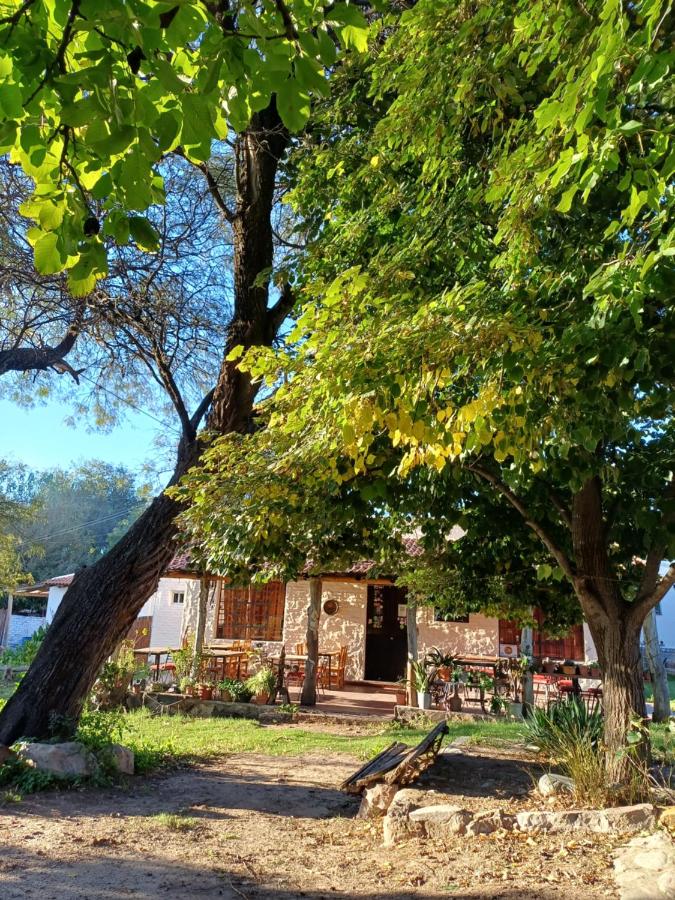 Posada El Algarrobo - B&B