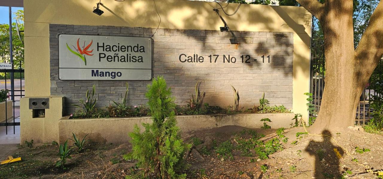 Hacienda Peñalisa Mango - B&B Ricaurte