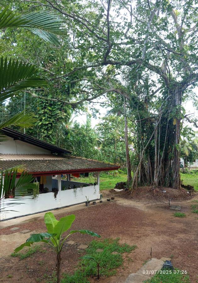 Nona amma villa - Ferienwohnung Beruwala