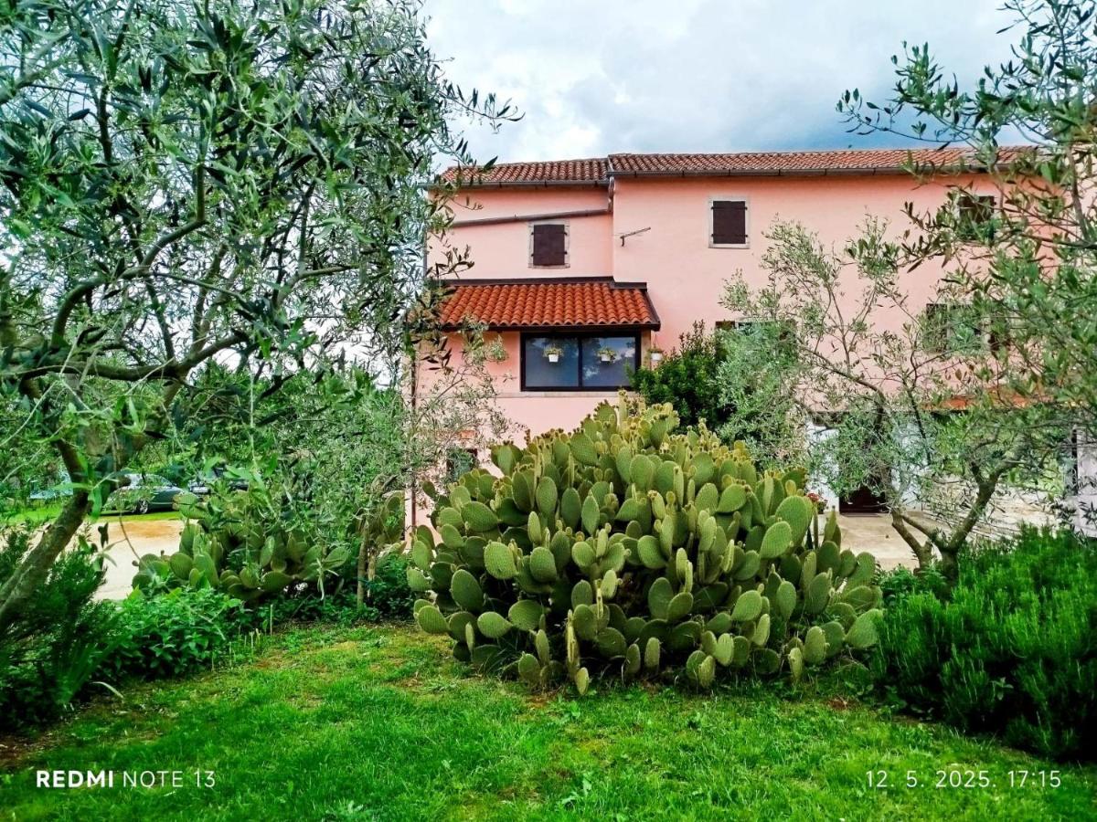 App Damiani - B&B