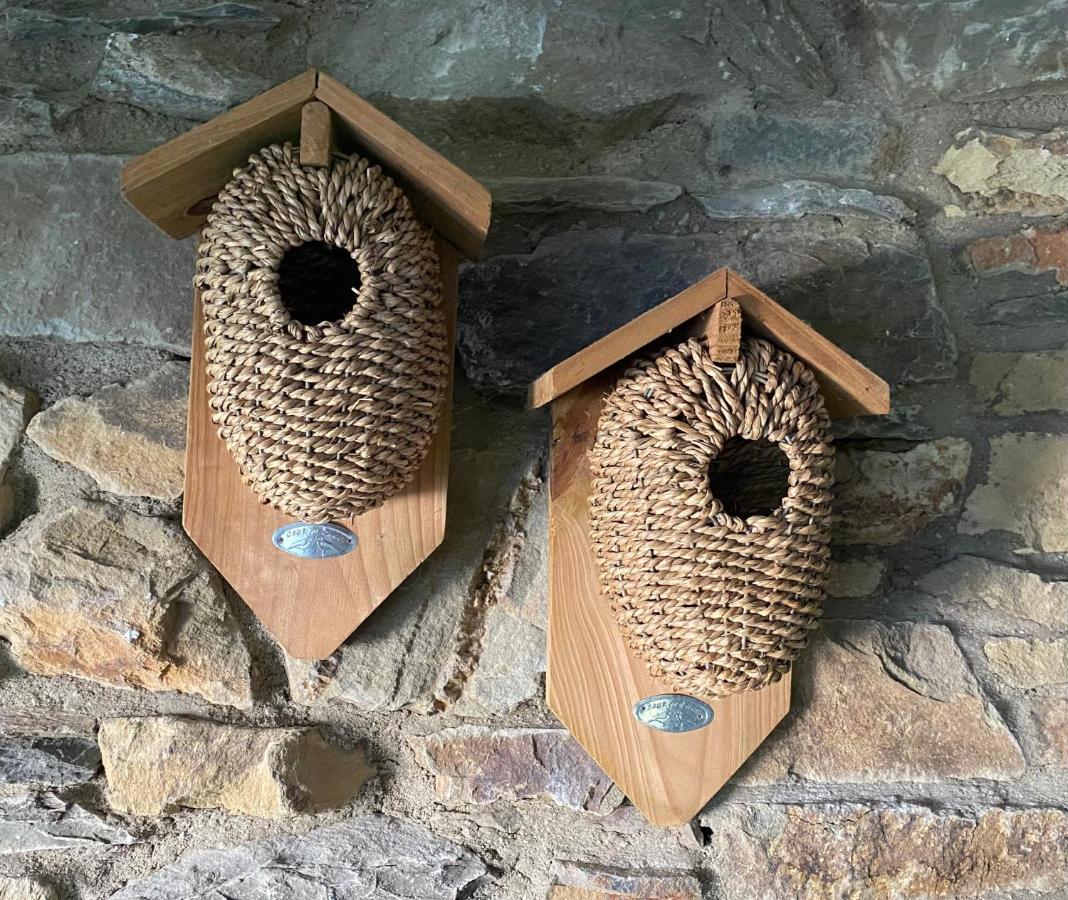 Doppelzimmer mit Gartenblick