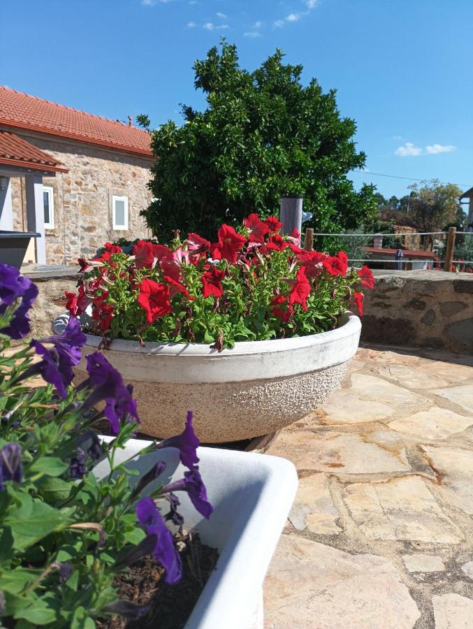 Casa Virginia Wellness House - B&B Ouzenda