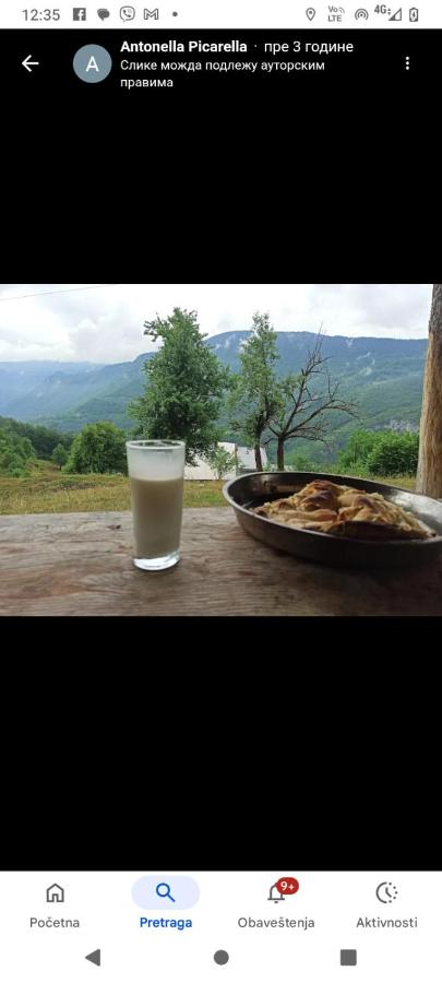 Camp Apartmani Tara - B&B