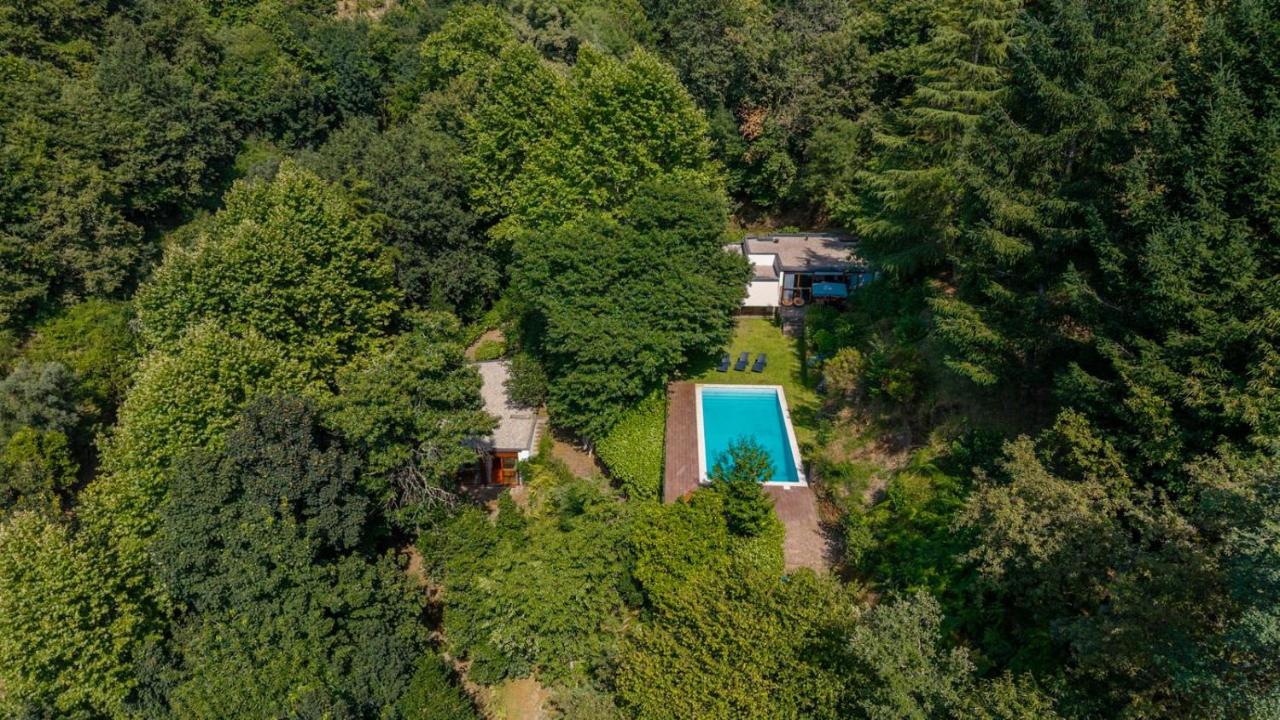 Casa Azevinho - Caniçada Gêres - Chambres d’hôtes Soengas