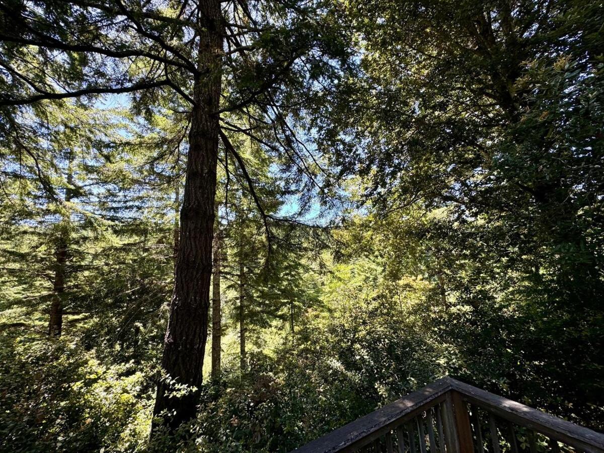 Cedar Valley Lodge - B&B Gold Beach