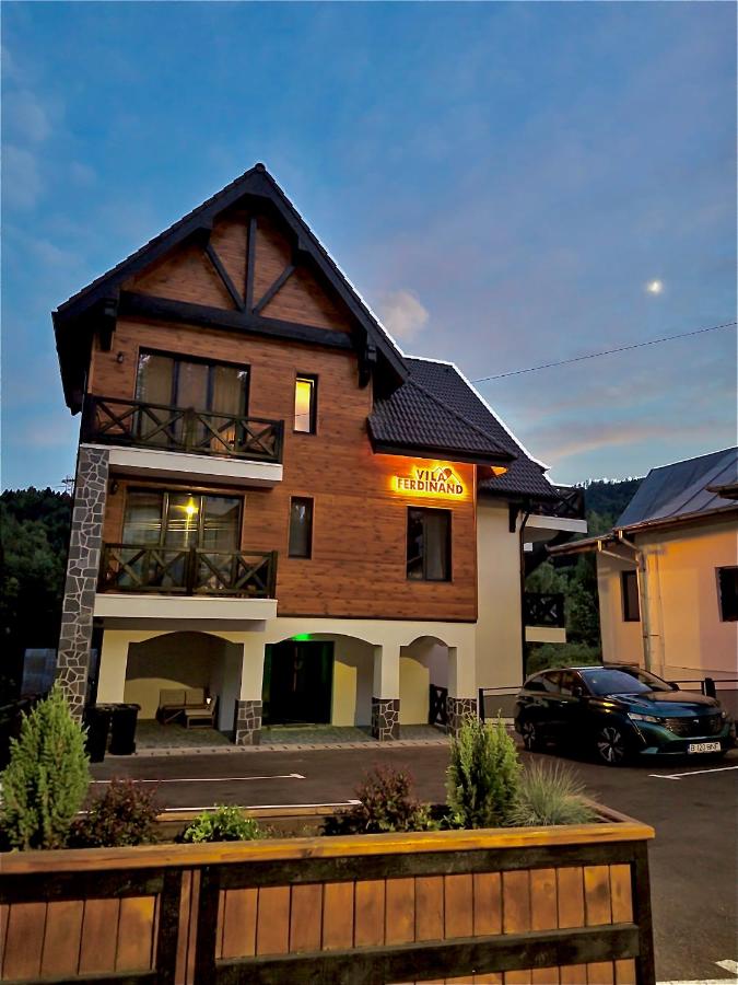 Vila Ferdinand Spa and Retreat - Bed and Breakfast Sinaia