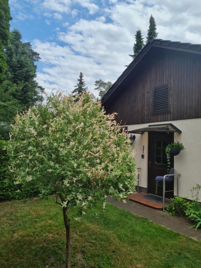 DAS kleine Haus - B&B