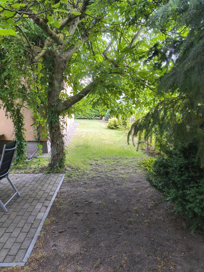 Nocleg pod Orzechem Apartament z 2 pokojami - B&B Wapnica