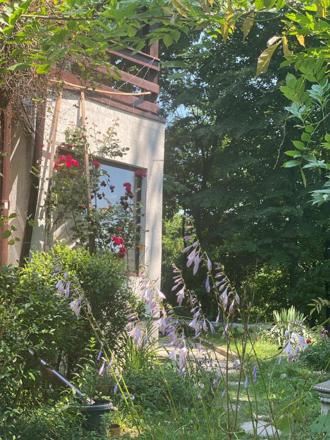 Casa Mariei - Vila Breaza - Ferienwohnung Nistoreşti