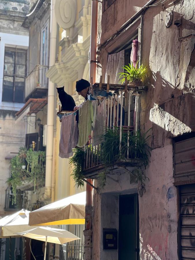 Scio' apartment-centro storico- - Chambres d’hôtes Naples
