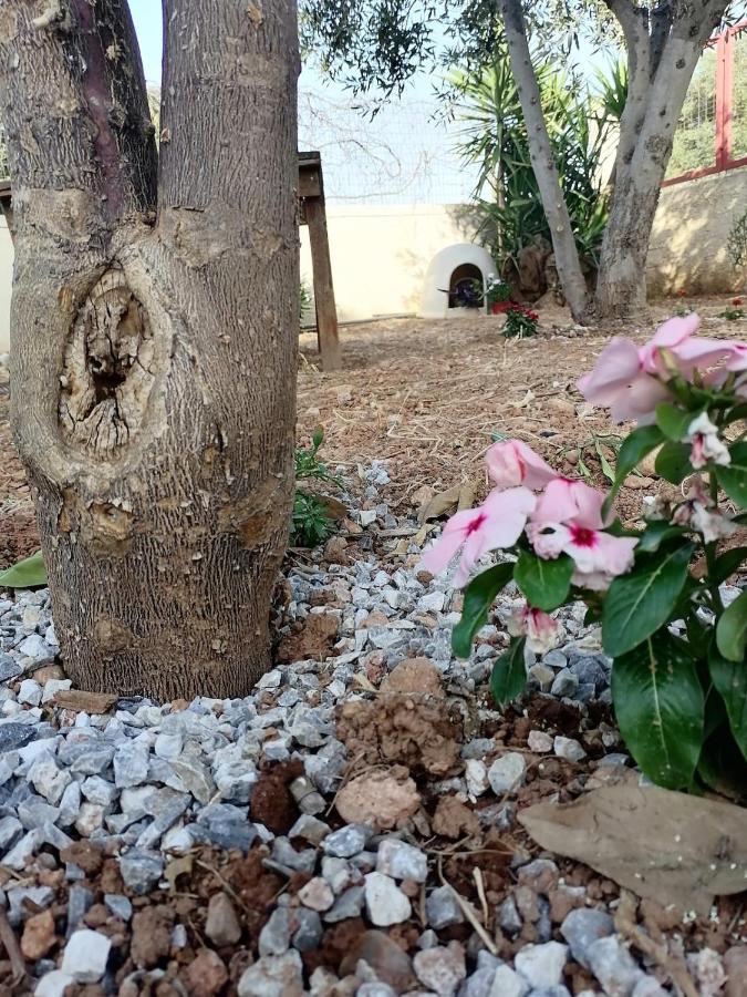 Gogo house in Faro Avlida - B&B