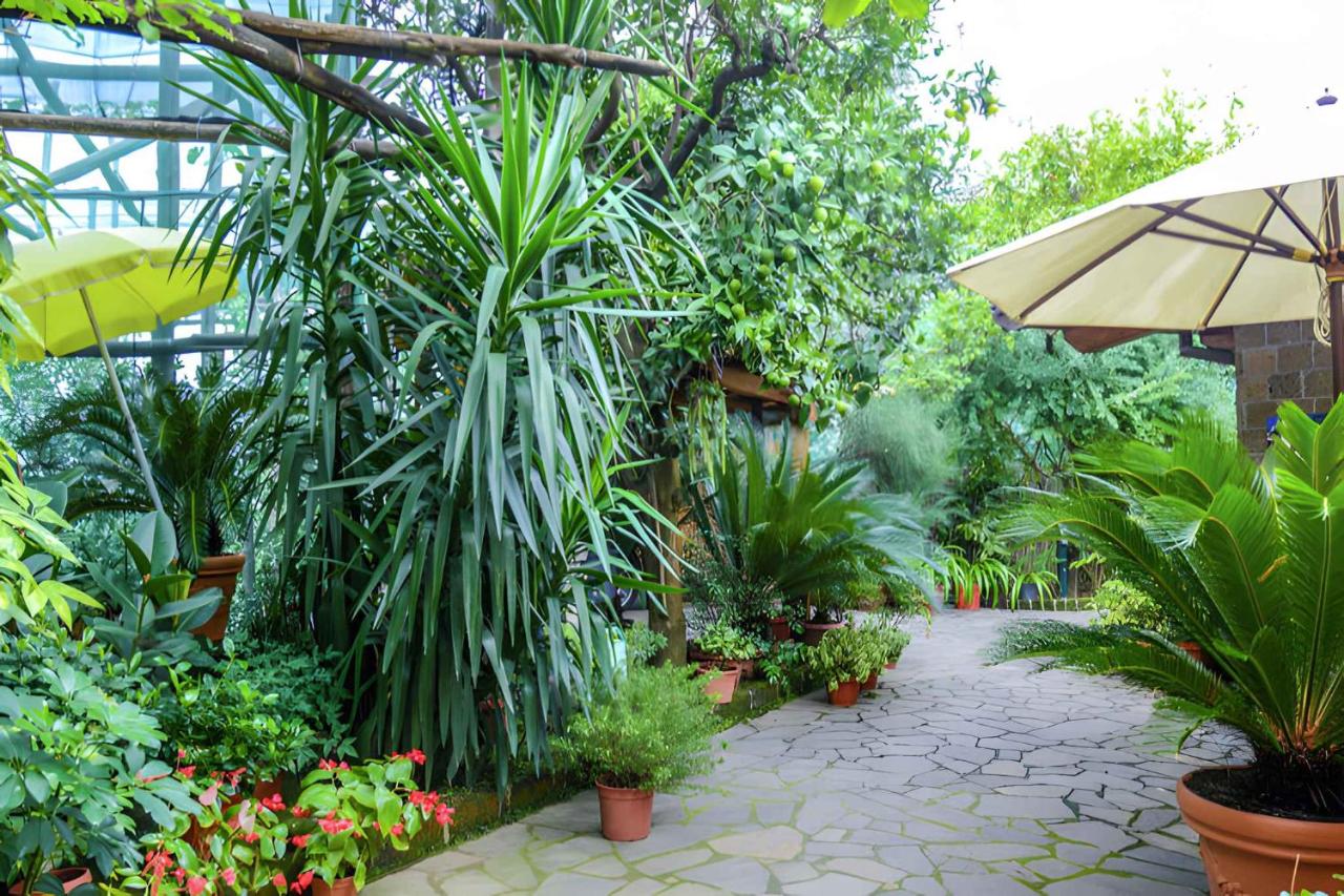 Apartment Sorrento 1 - Ferienwohnung Sorrent