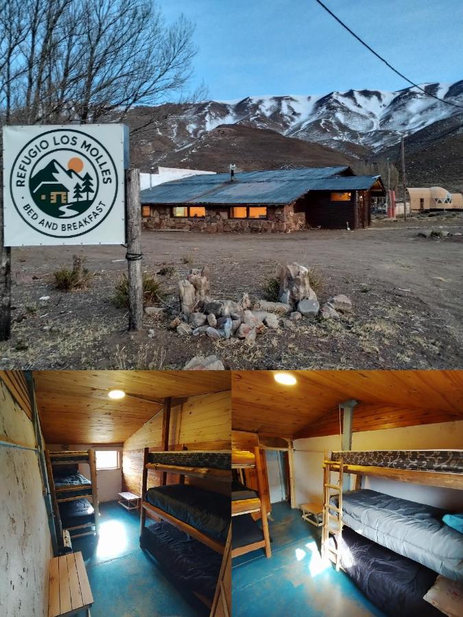 Refugio Los Molles hostal - B&B