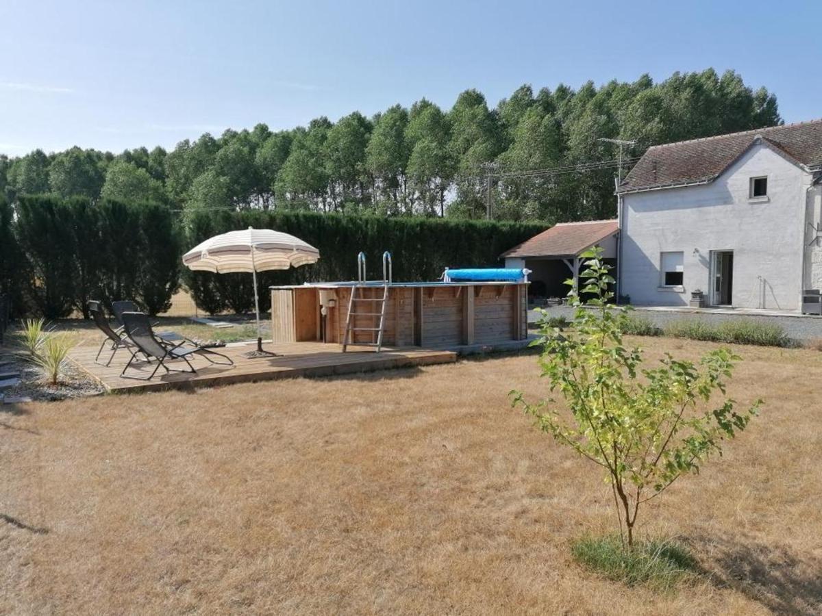 Charmante maison avec piscine et grand jardin en Touraine, proche châteaux de la Loire et Futuroscope - FR-1-381-481 - Bed and Breakfast Rilly-sur-Vienne