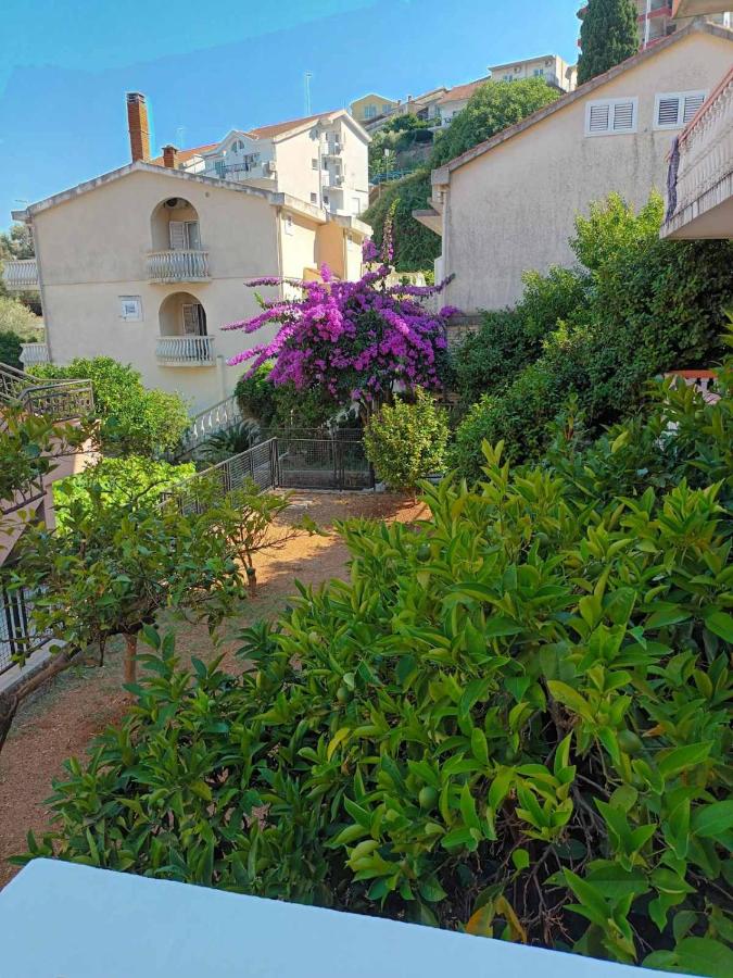 Walk to the Sea-1 bedroom BUDVA - B&B Budva