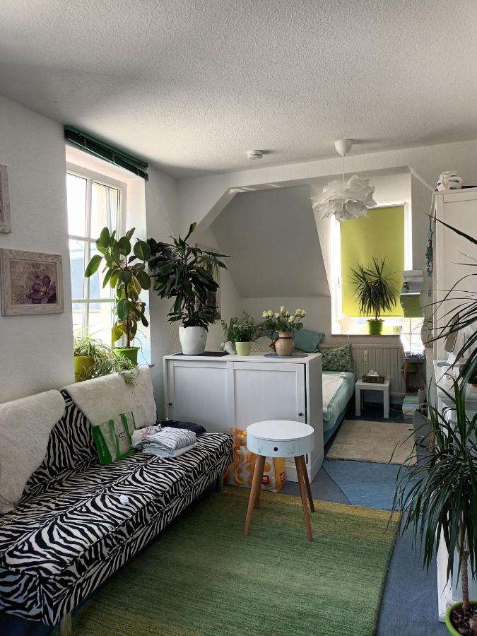 Gästewohnung "Am Otto-Dix-Haus" - B&B Gera