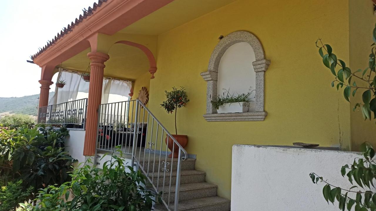 La Casa di Piera - B&B Tamarispa