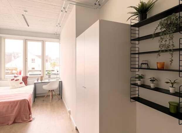 Lovely Studio w kitchen - B&B