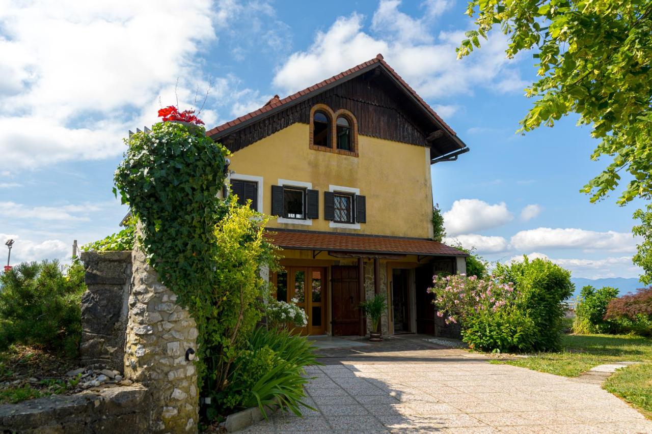 Vineyard cottage Rustika - B&B Novo mesto